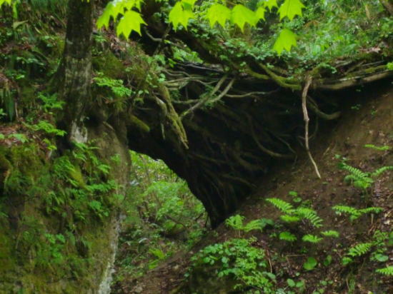 f0059473_21414358.jpg