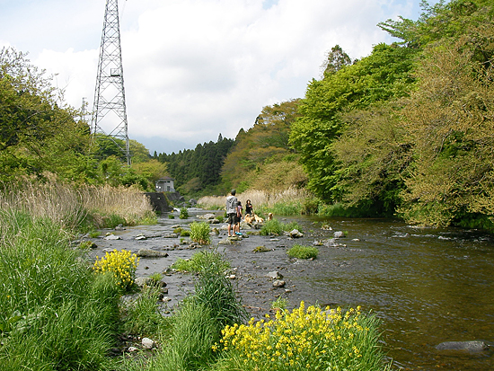c0019774_8274549.jpg
