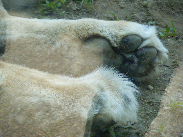 c0163878_15405773.jpg
