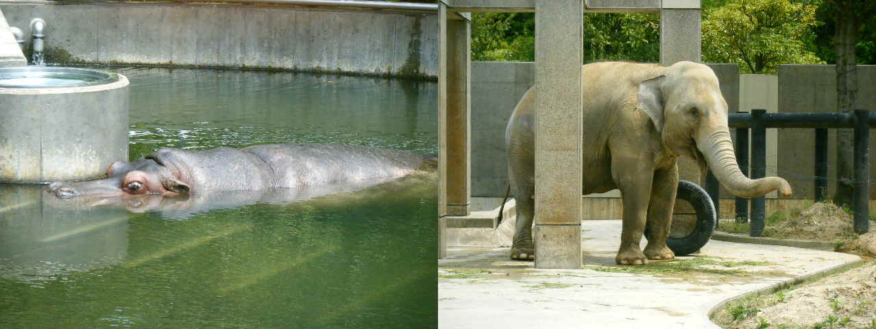 c0163878_1552372.jpg
