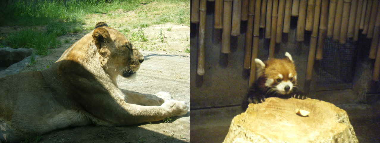 c0163878_1563973.jpg