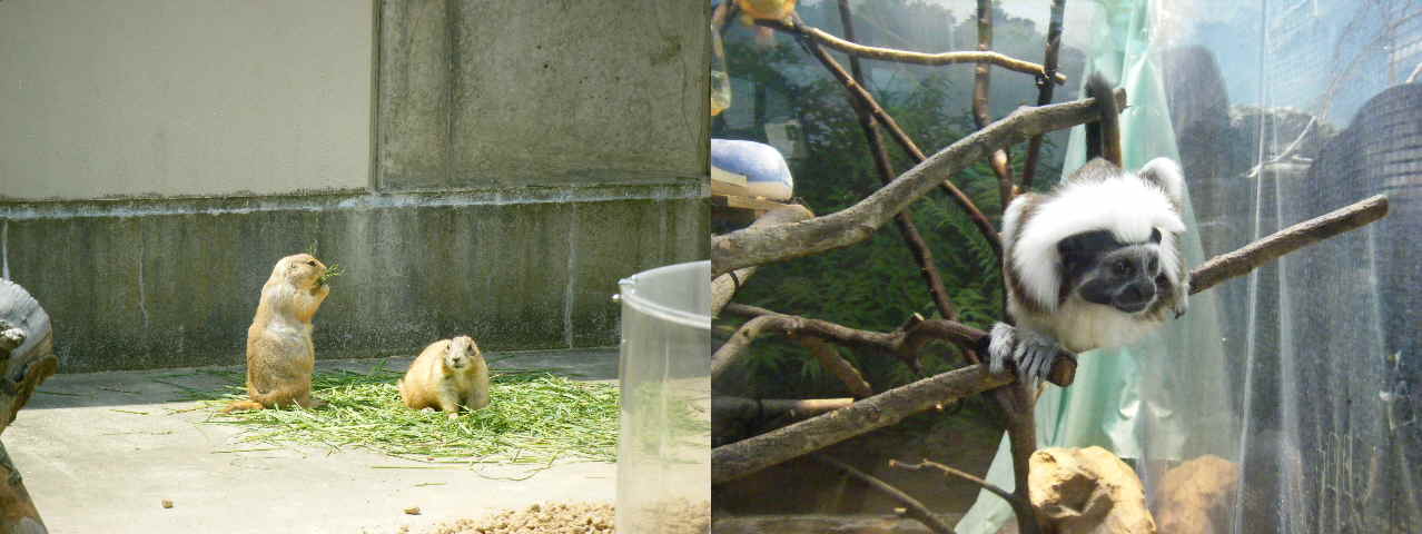 c0163878_156558.jpg