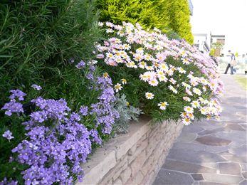 f0001378_2155930.jpg