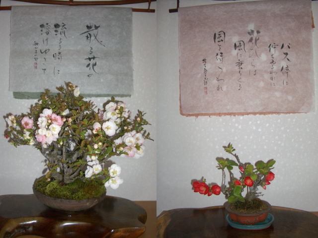 e0069481_23103984.jpg