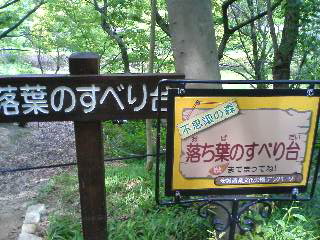 f0001781_13364582.jpg