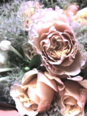f0039281_1416295.jpg