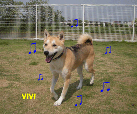 e0066883_0114713.gif