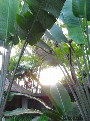 b0101284_21101552.jpg