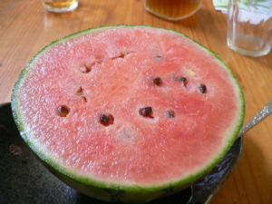 a0056686_824260.jpg
