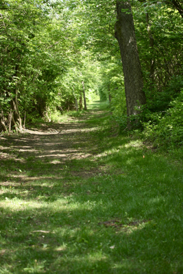 c0130986_6154022.jpg