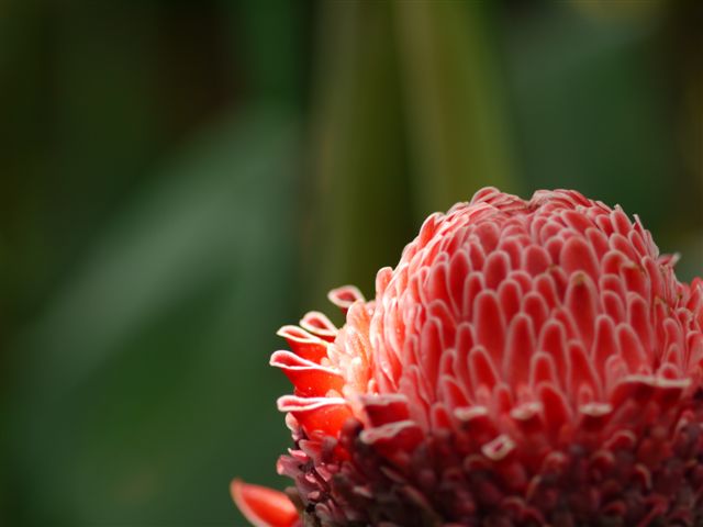 b0175688_1454864.jpg