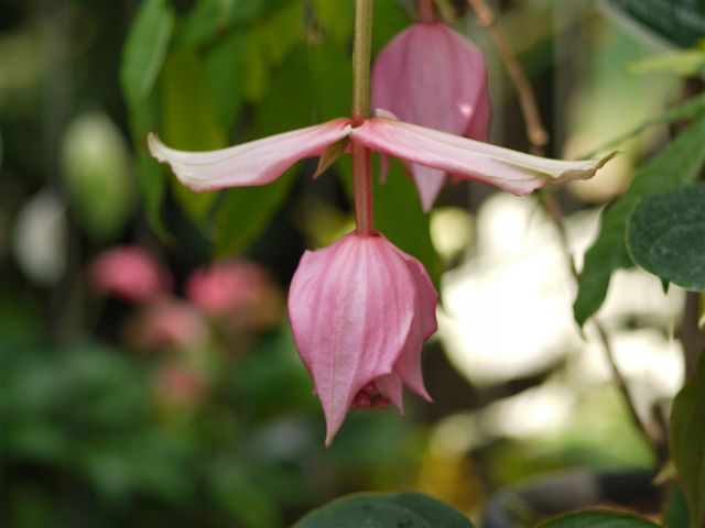b0175688_14574361.jpg