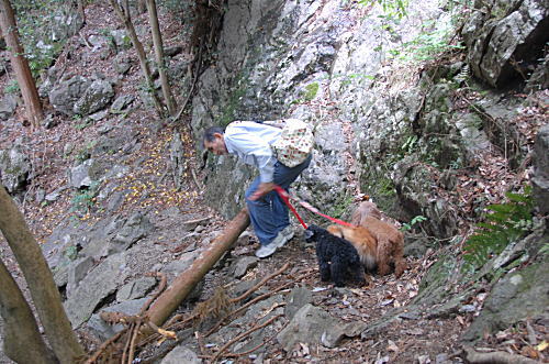 d0014690_23111491.jpg