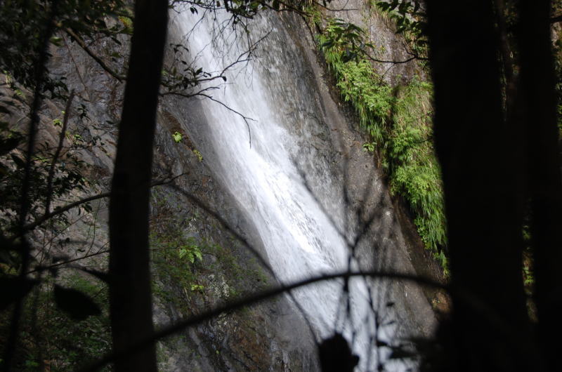 d0014690_23135315.jpg