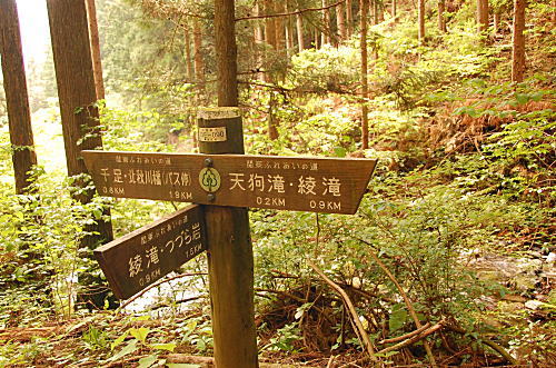 d0014690_2323872.jpg