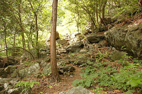 d0014690_2373460.jpg