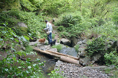 d0014690_2383816.jpg