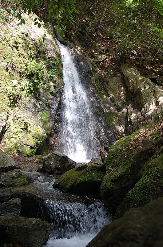 d0014690_2394792.jpg