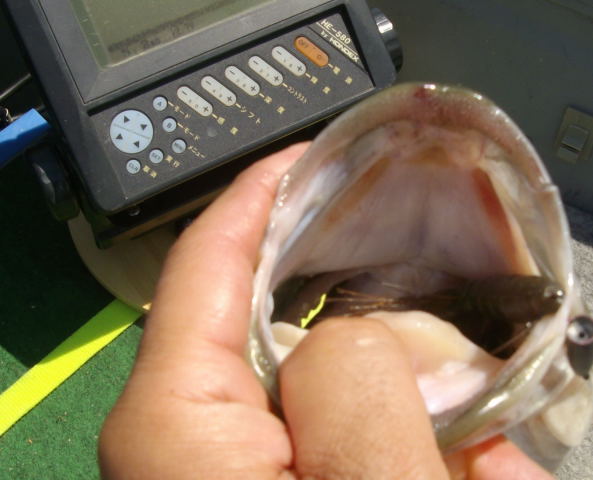 a0097491_19201024.jpg