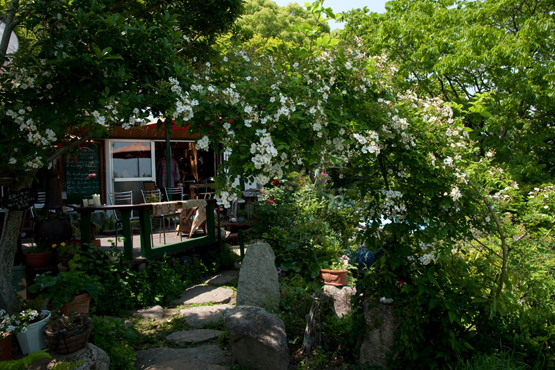 d0142891_552435.jpg