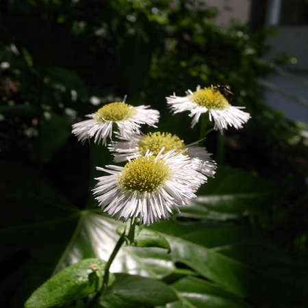 f0070493_12272310.jpg
