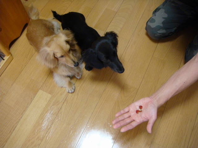 d0098295_17161280.jpg