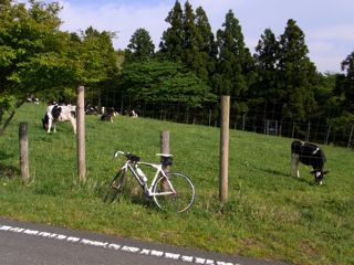 d0010496_11142433.jpg