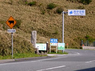 d0010496_11153099.jpg