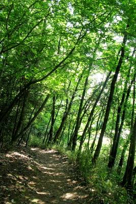 f0103797_101649.jpg