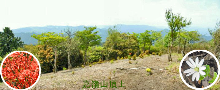 a0097298_15141820.jpg