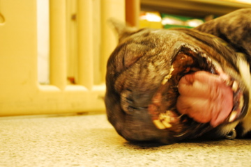 f0136098_1512922.jpg