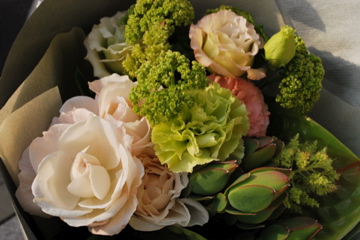 f0136098_1736528.jpg