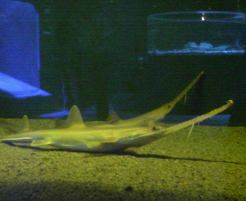 c0090899_23203920.jpg