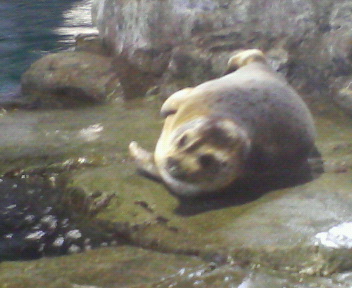 c0090899_23211271.jpg