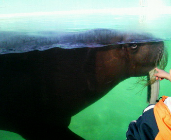 c0090899_23234086.jpg