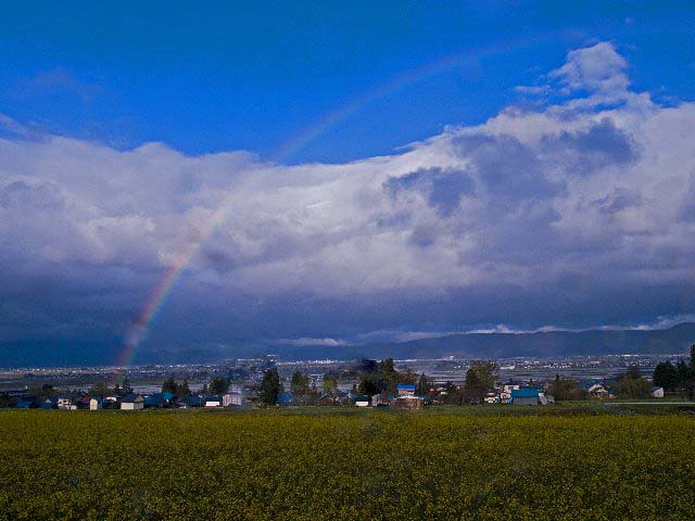 c0008502_1345792.jpg