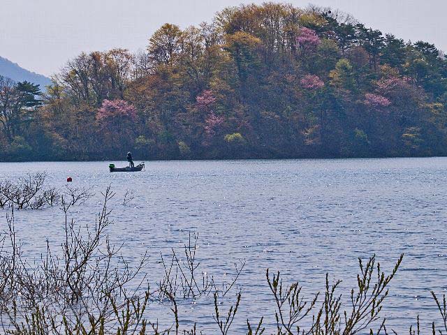c0008502_2037721.jpg