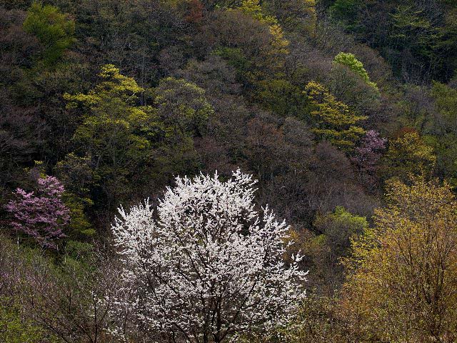 c0008502_22304924.jpg