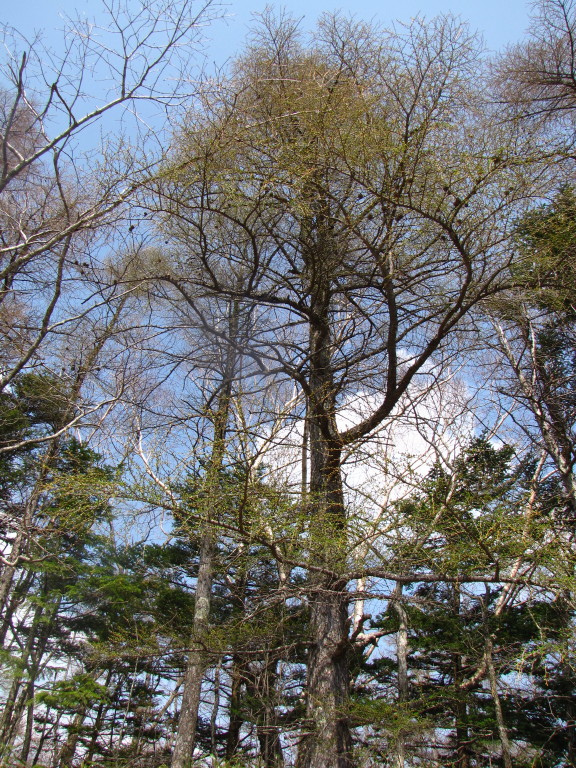 b0116703_1325165.jpg