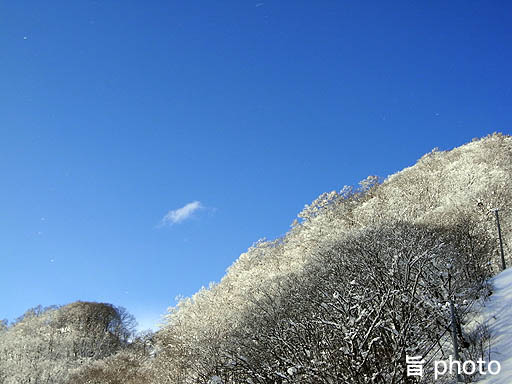 b0061004_2354863.jpg