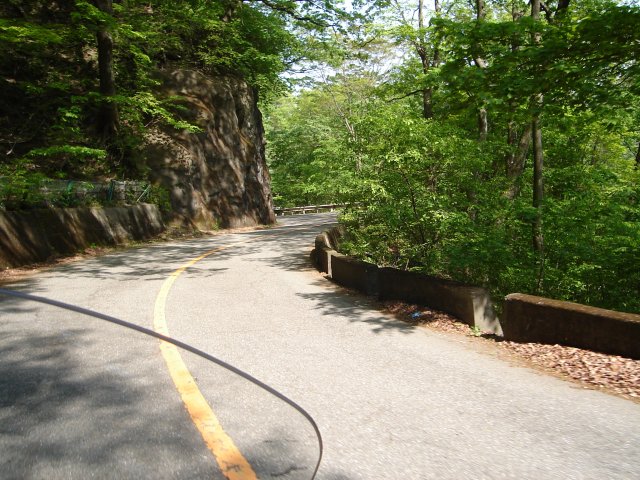 a0116205_15163480.jpg