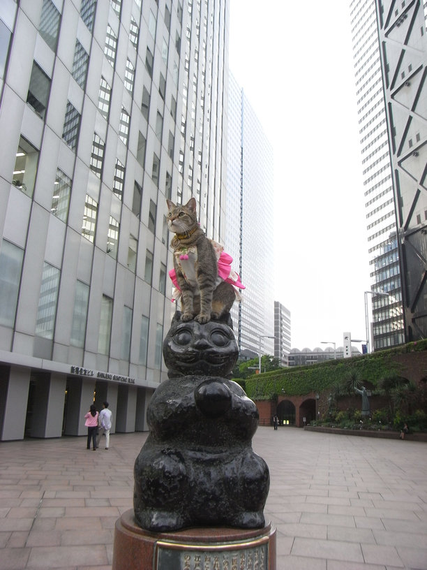 e0031605_43251.jpg