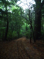 f0032106_15424236.jpg
