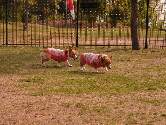 c0127617_16343321.jpg