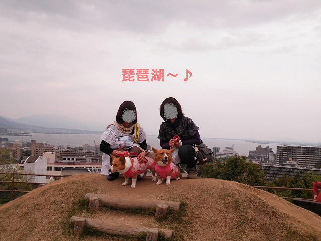 c0127617_16384265.jpg