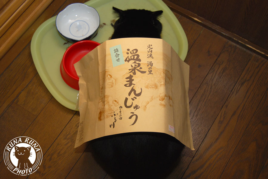 b0118920_2145737.jpg
