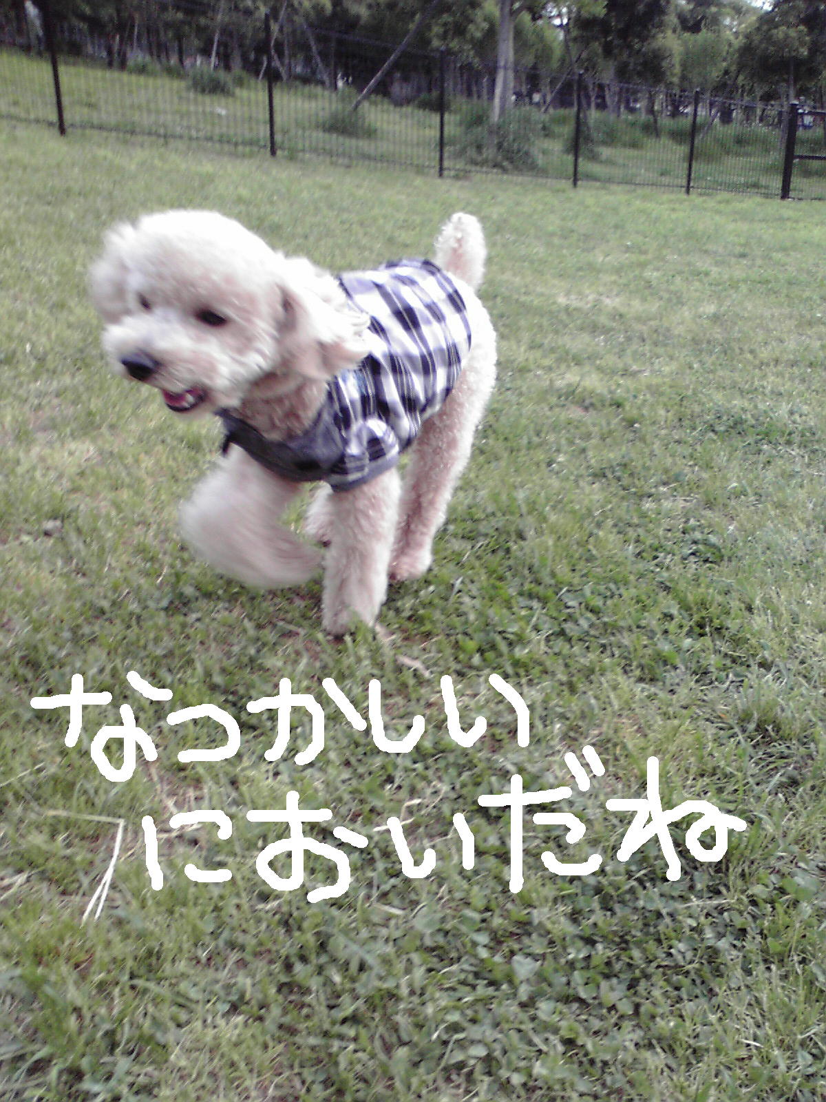 c0060920_1124724.jpg
