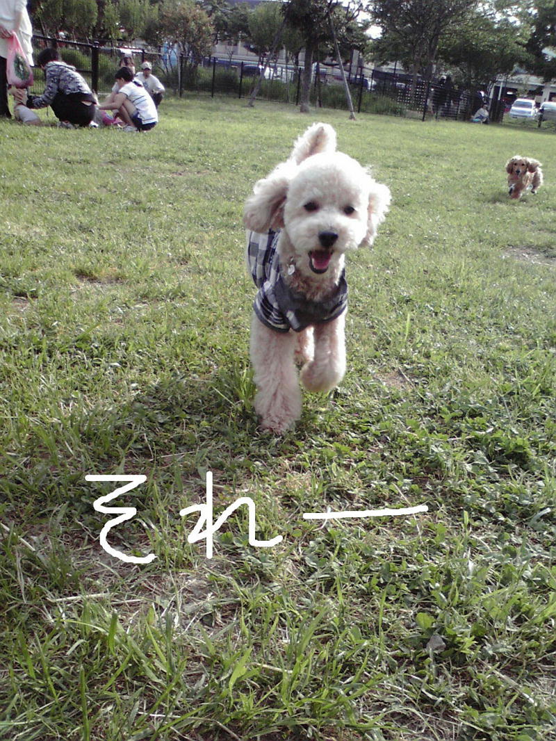 c0060920_1129159.jpg