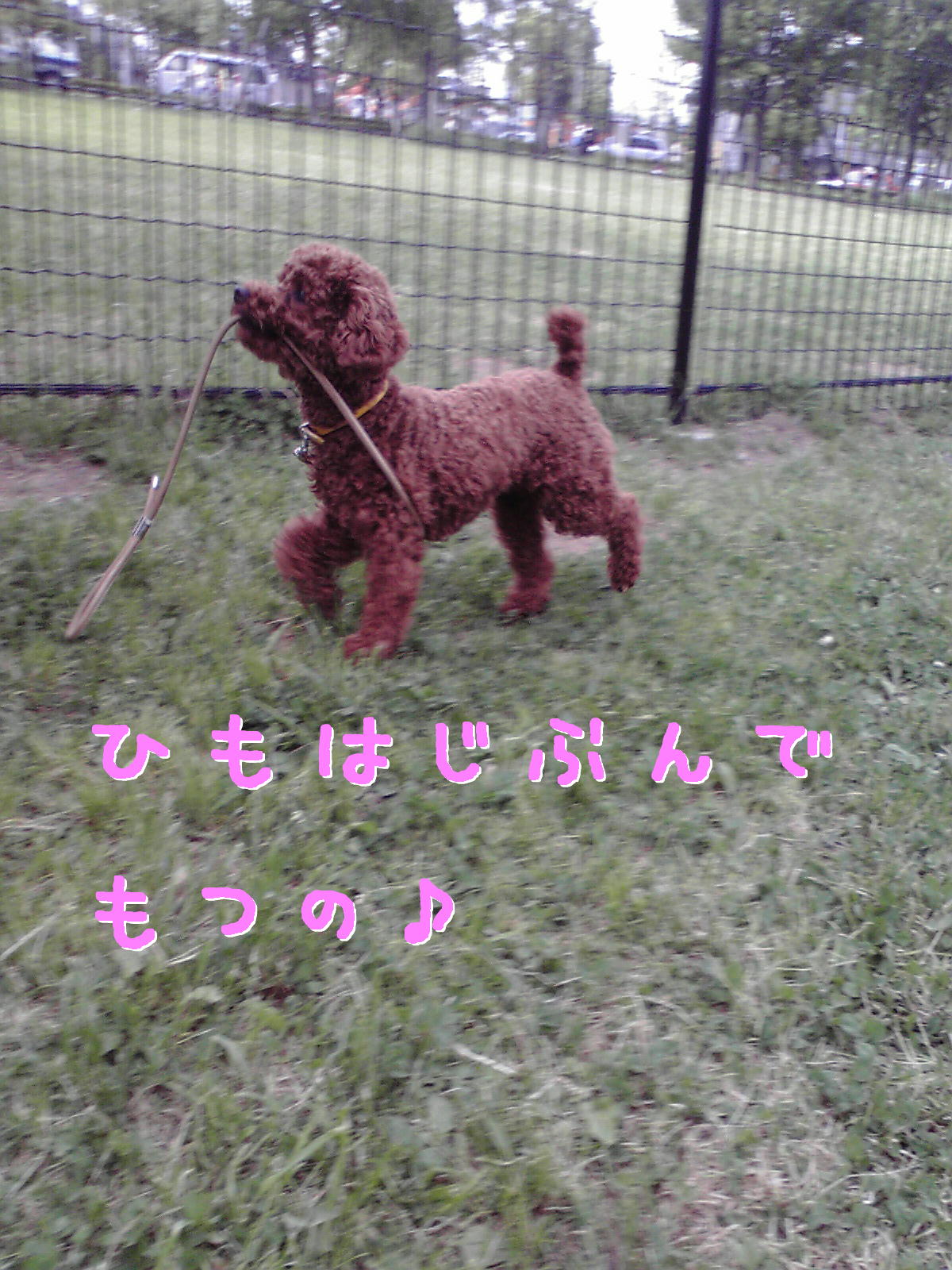 c0060920_11323032.jpg