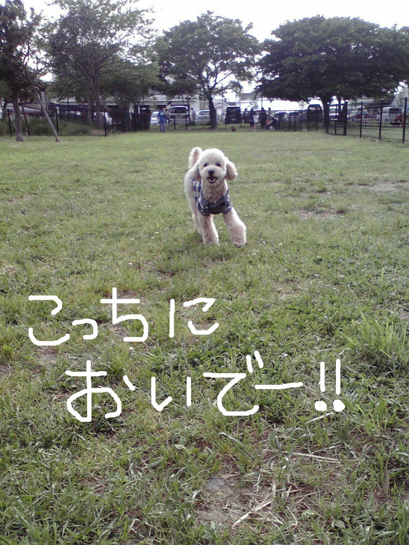 c0060920_11331964.jpg